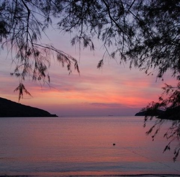 Meet your Posher, Angela - Picture 1 of 1